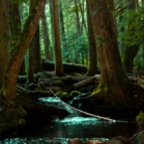 Vince Ferguson - Ramona Creek Meanders Through the Forest, Photogeraph